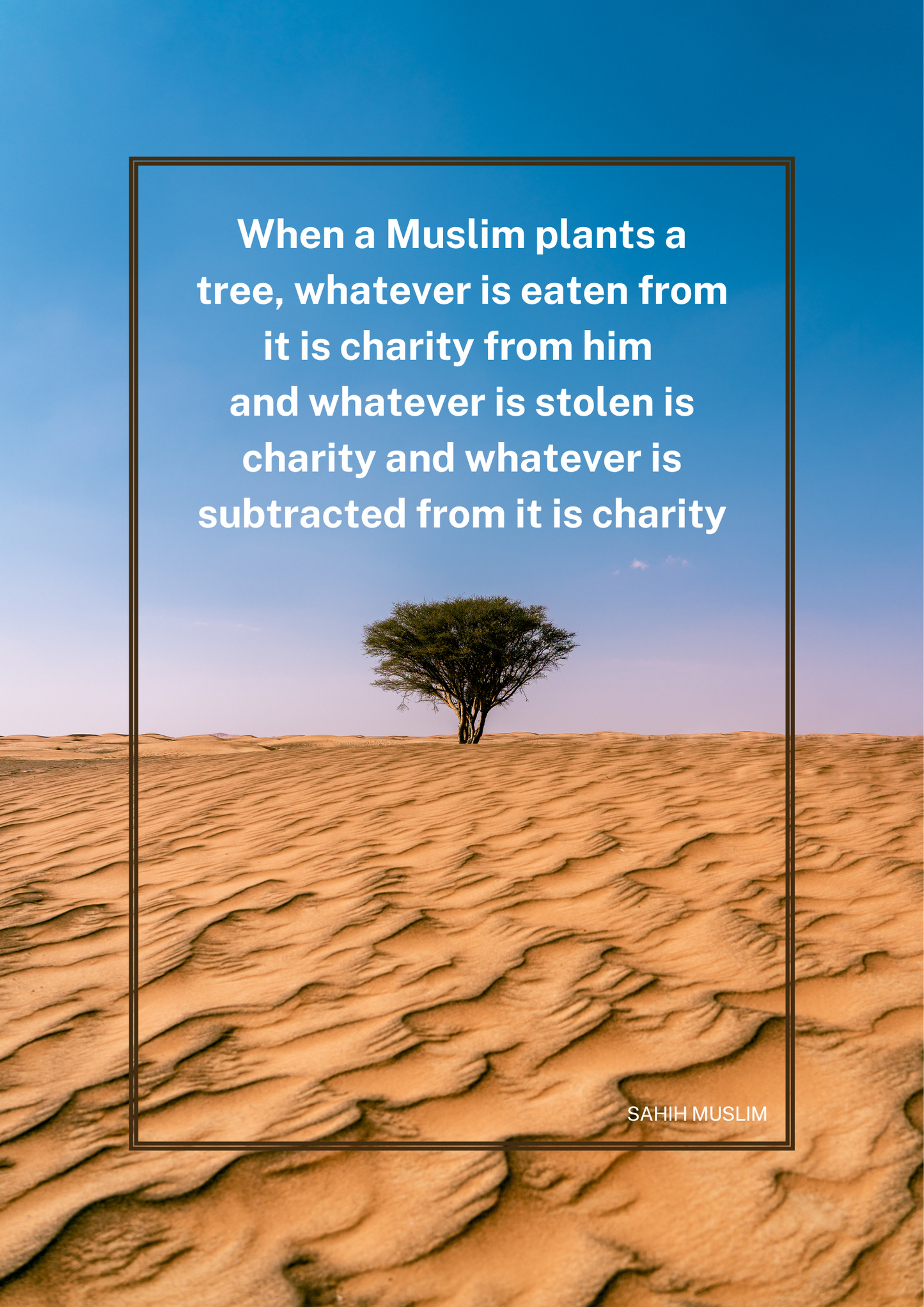 Plant A Tree, Charity, Inspire