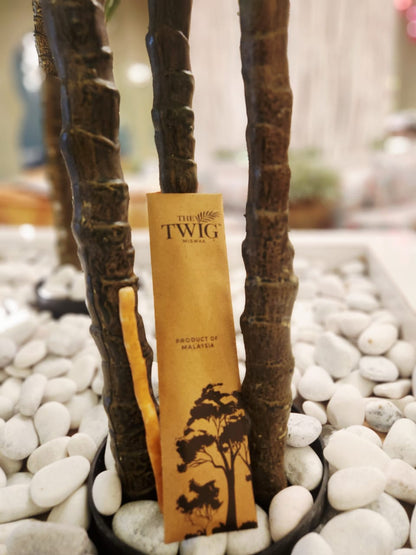 🌿 The Twig - Premium Natural Miswak Toothbrush Kit