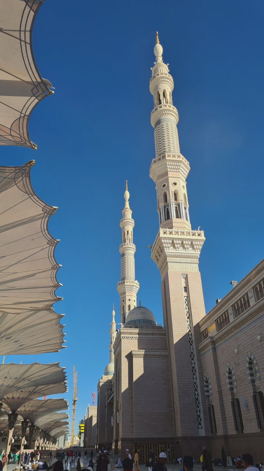 Magnetic Phone Case, iPhone Case, Masjid Nabawi, Personalised